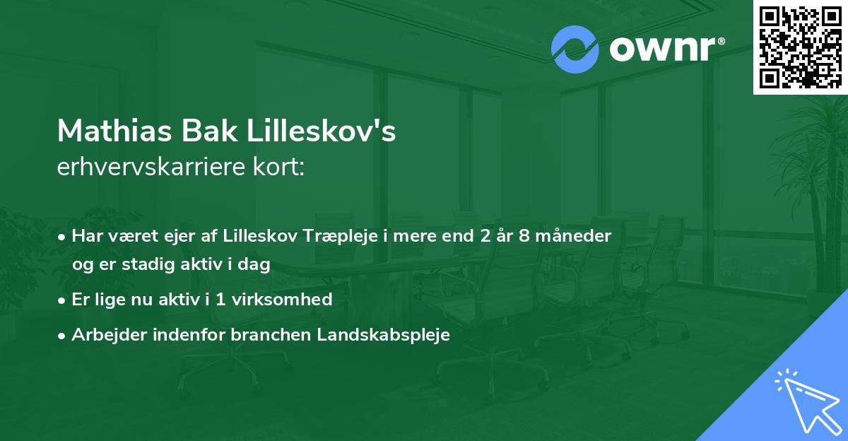 Mathias Bak Lilleskov's erhvervskarriere kort