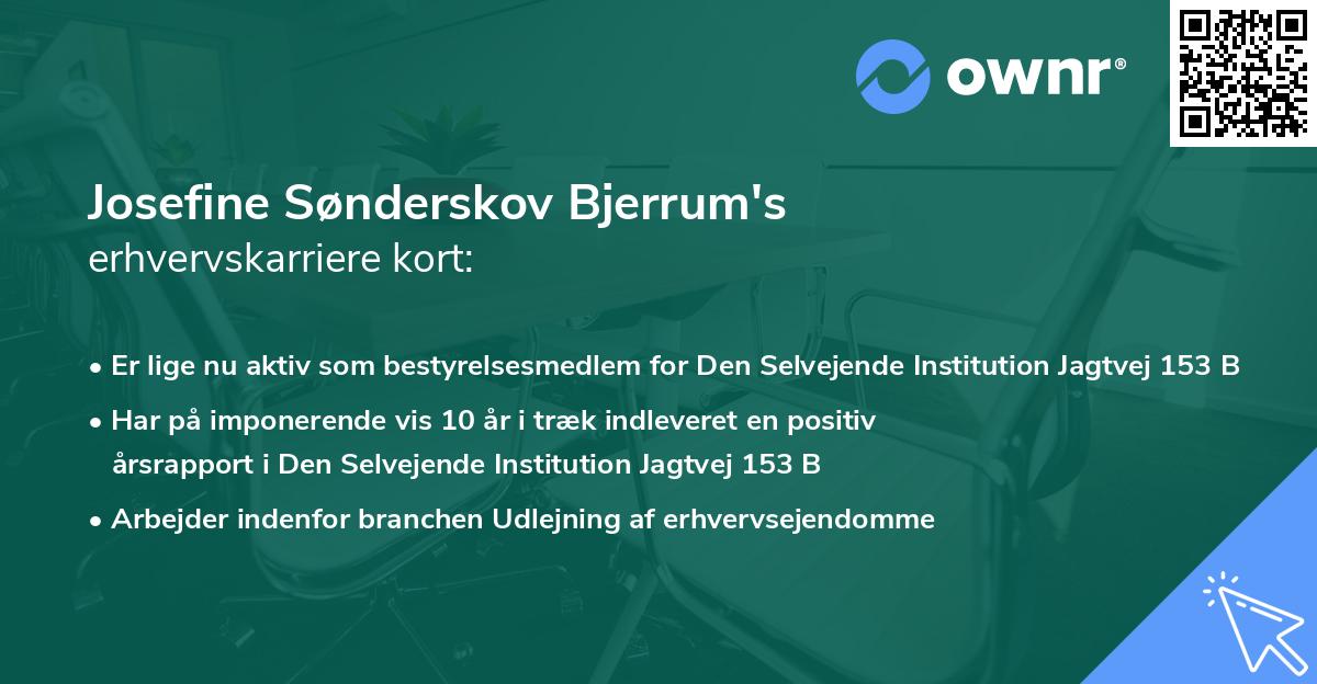 Josefine Sønderskov Bjerrum's erhvervskarriere kort