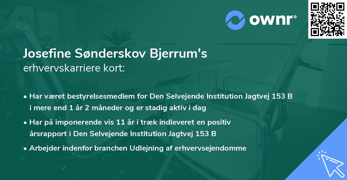 Josefine Sønderskov Bjerrum's erhvervskarriere kort