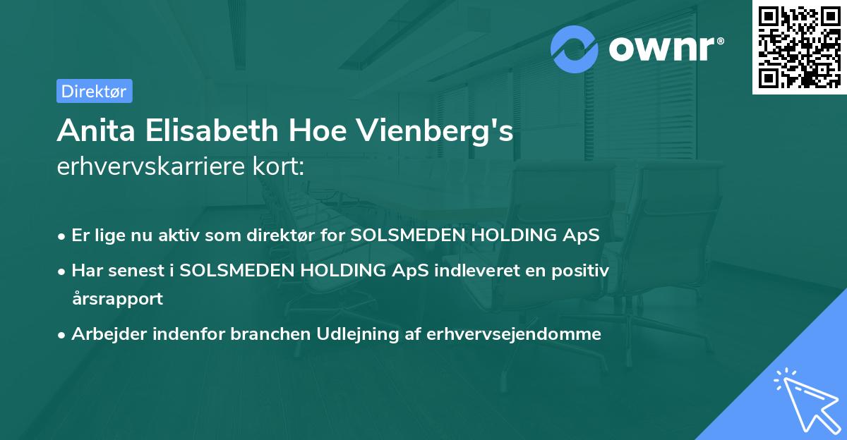 Anita Elisabeth Hoe Vienberg's erhvervskarriere kort