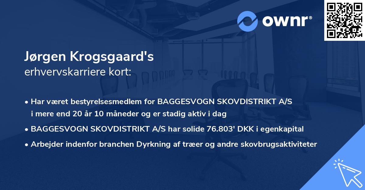 Jørgen Krogsgaard's erhvervskarriere kort