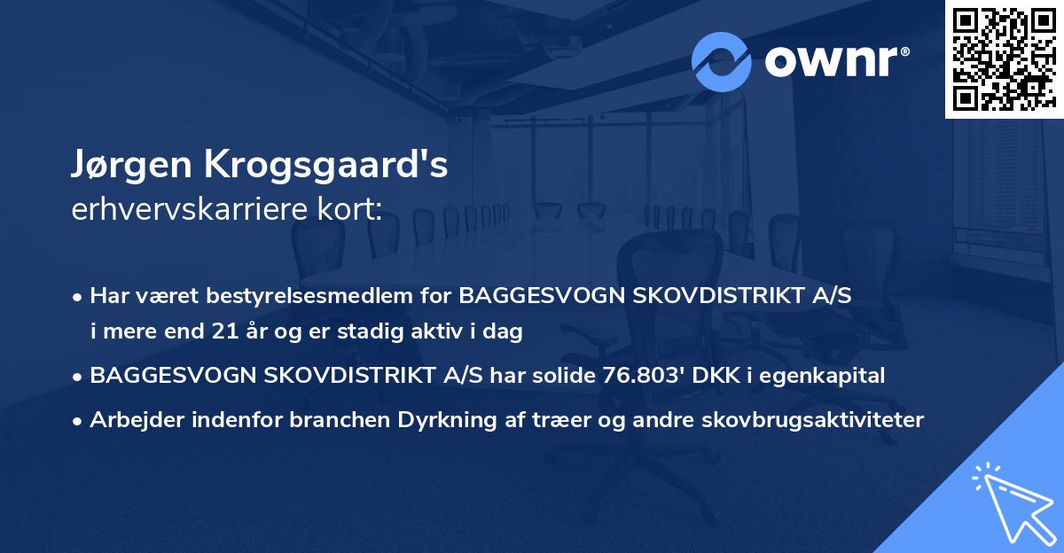 Jørgen Krogsgaard's erhvervskarriere kort