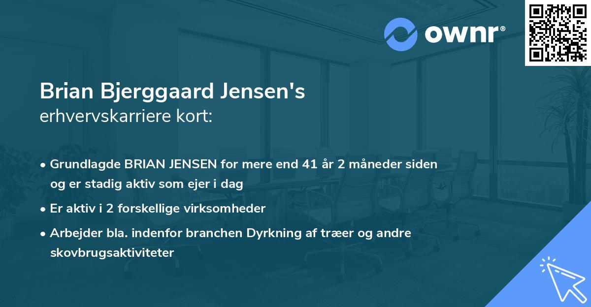 Brian Bjerggaard Jensen's erhvervskarriere kort
