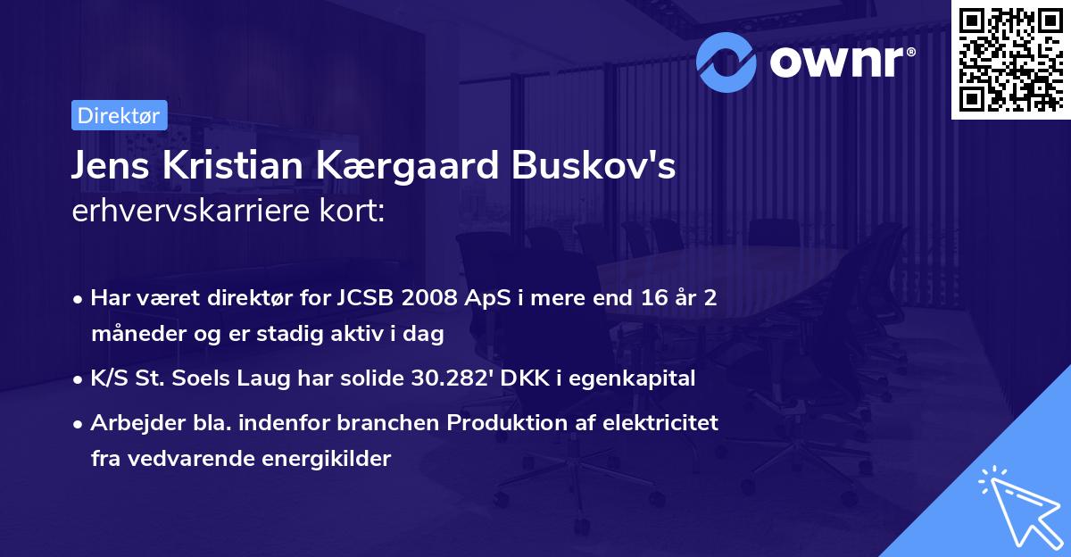 Jens Kristian Kærgaard Buskov's erhvervskarriere kort