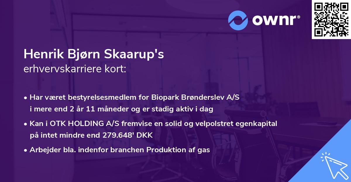 Henrik Bjørn Skaarup's erhvervskarriere kort