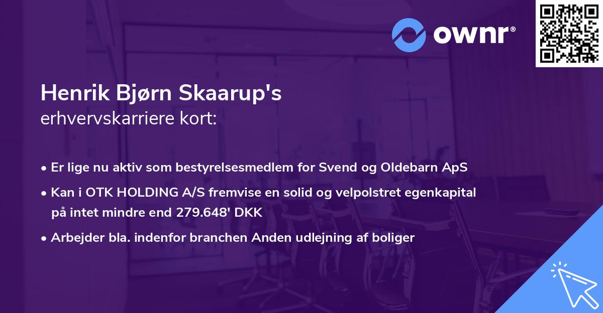 Henrik Bjørn Skaarup's erhvervskarriere kort