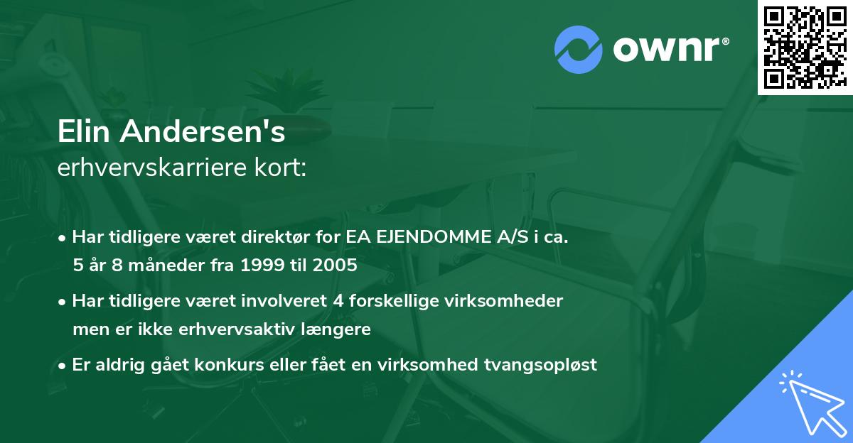 Elin Andersen's erhvervskarriere kort