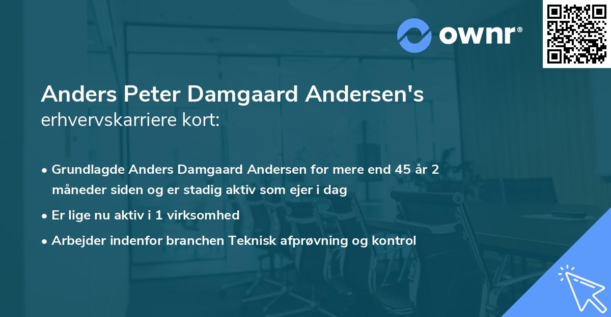 Anders Peter Damgaard Andersen's erhvervskarriere kort