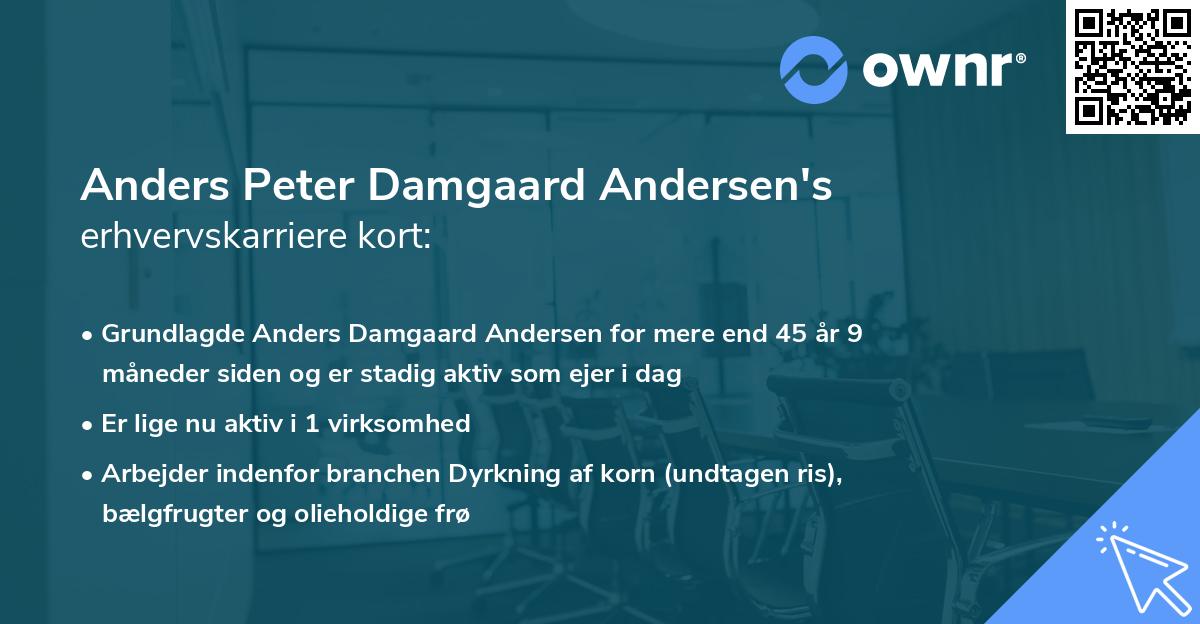 Anders Peter Damgaard Andersen's erhvervskarriere kort