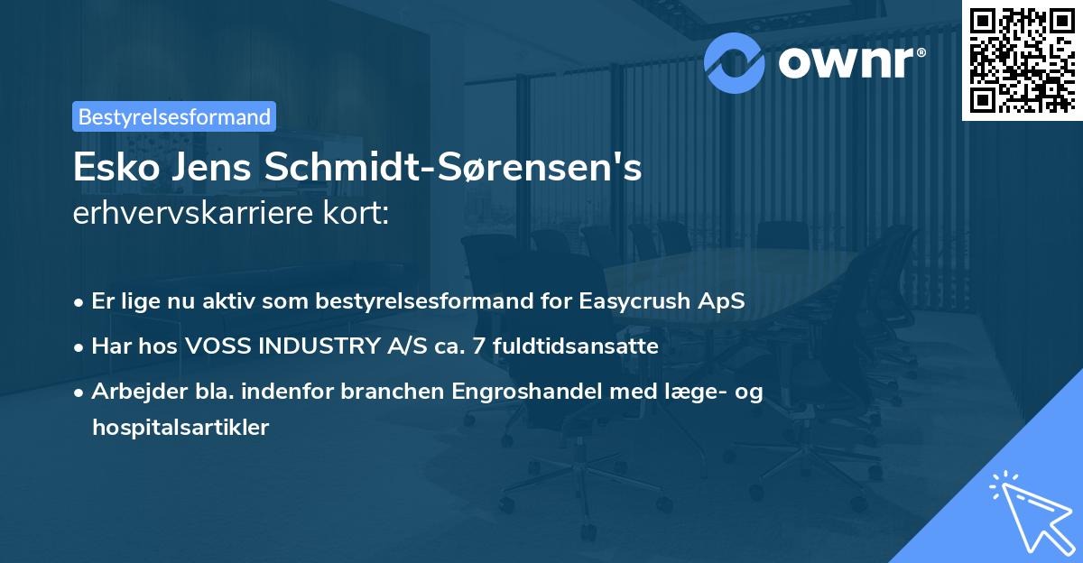 Esko Jens Schmidt-Sørensen's erhvervskarriere kort