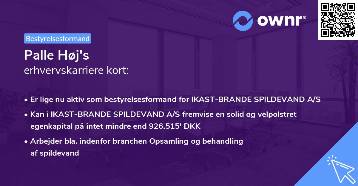 Palle Høj's erhvervskarriere kort