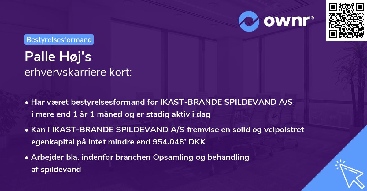 Palle Høj's erhvervskarriere kort