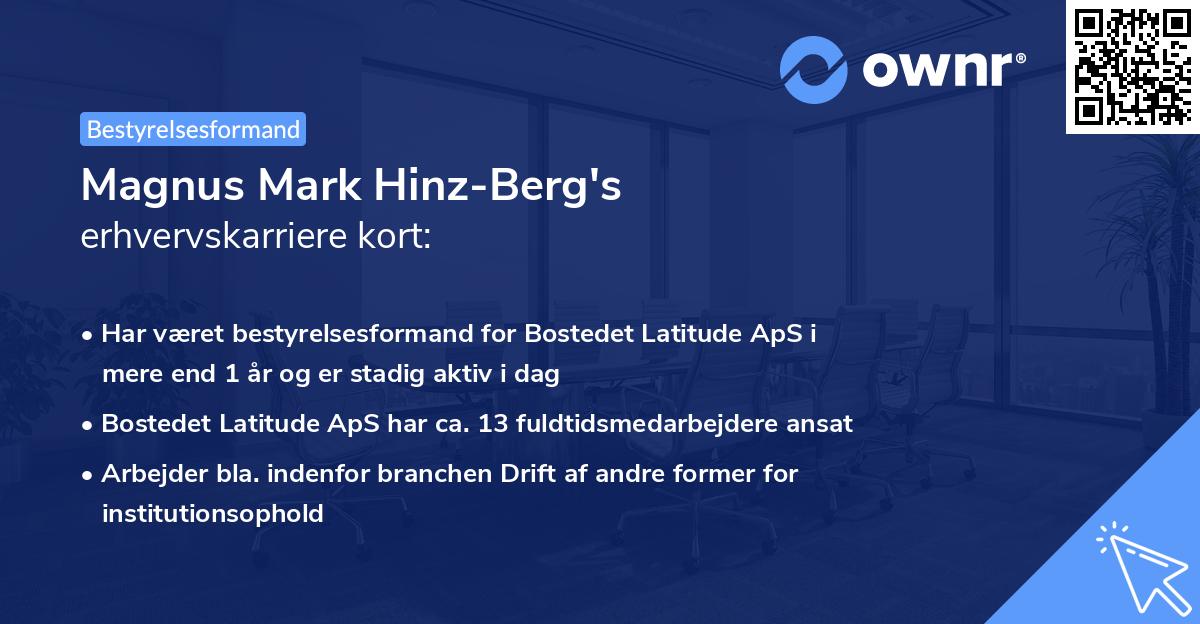 Magnus Mark Hinz-Berg's erhvervskarriere kort