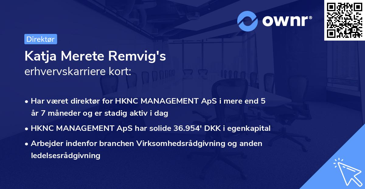 Katja Merete Remvig's erhvervskarriere kort