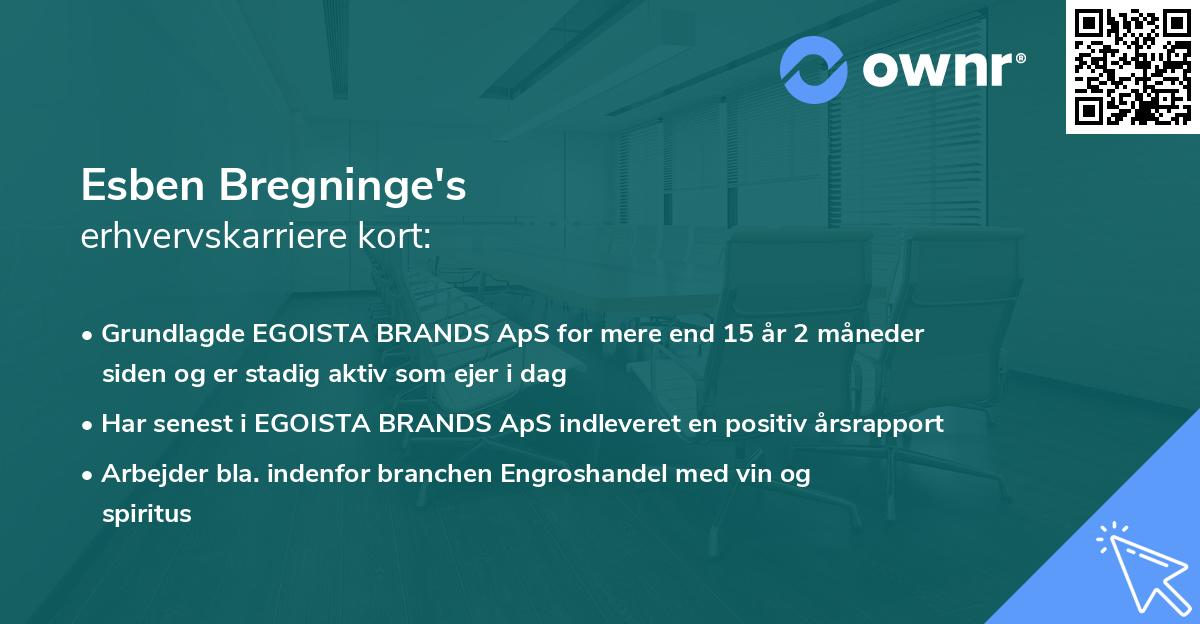 Esben Bregninge's erhvervskarriere kort