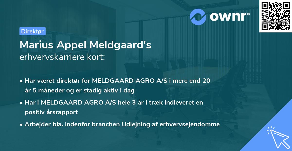 Marius Appel Meldgaard's erhvervskarriere kort