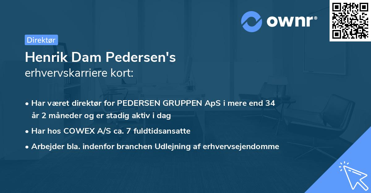Henrik Dam Pedersen's erhvervskarriere kort