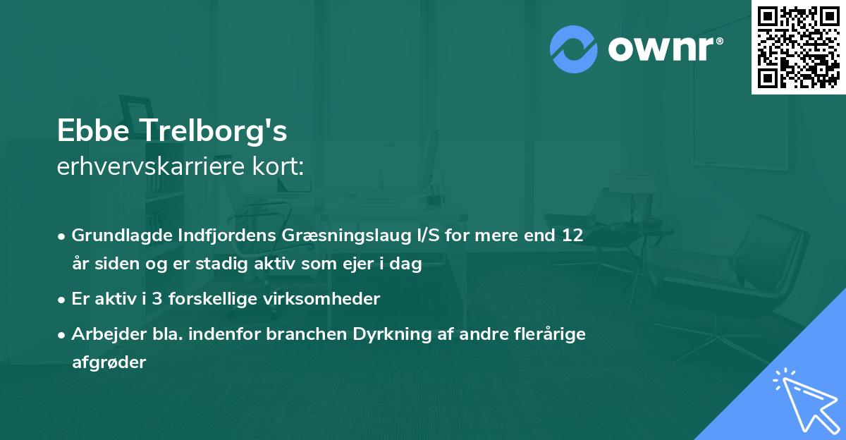 Ebbe Trelborg's erhvervskarriere kort