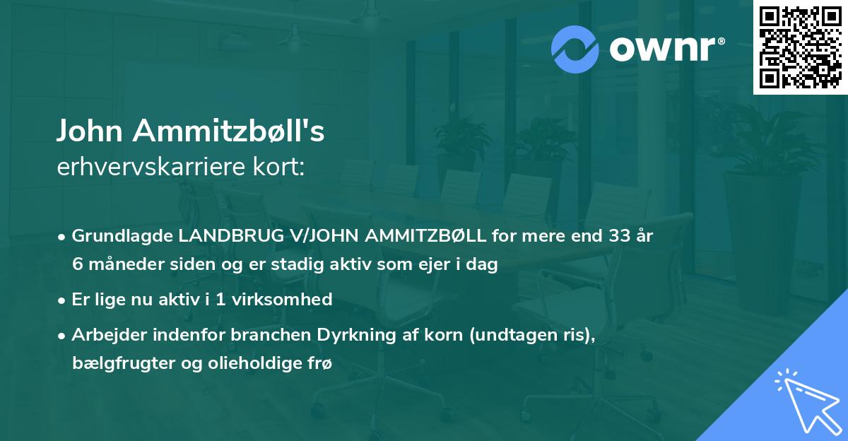 John Ammitzbøll's erhvervskarriere kort