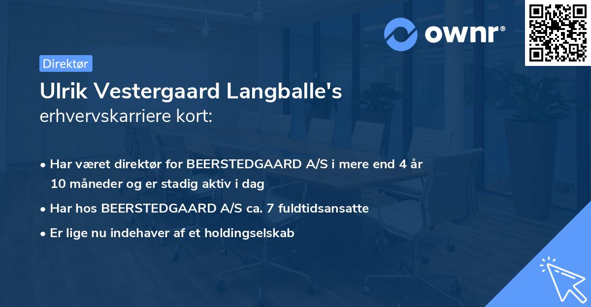 Ulrik Vestergaard Langballe's erhvervskarriere kort