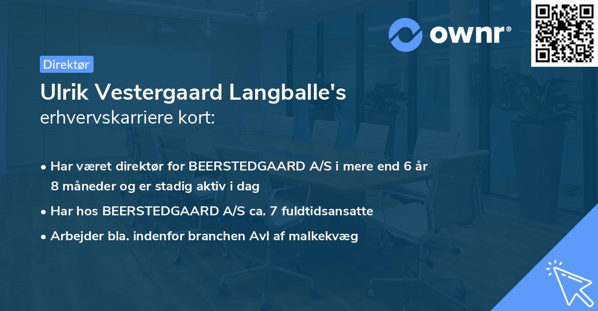 Ulrik Vestergaard Langballe's erhvervskarriere kort