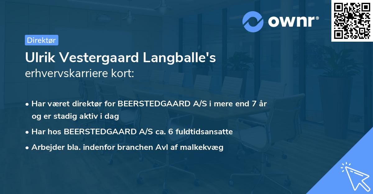 Ulrik Vestergaard Langballe's erhvervskarriere kort