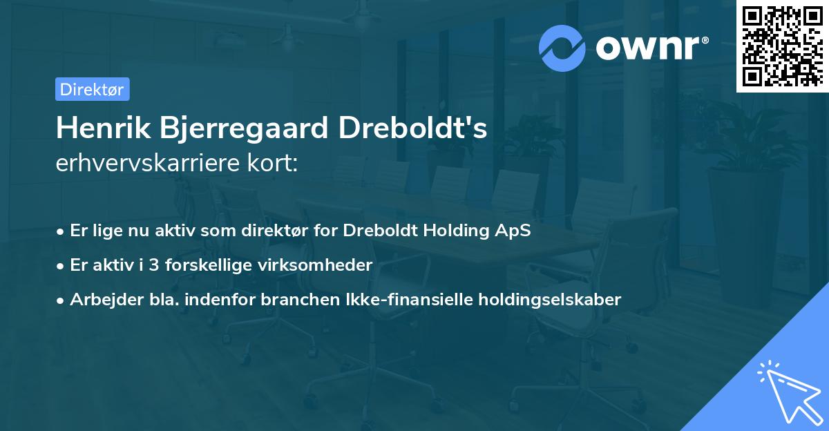 Henrik Bjerregaard Dreboldt's erhvervskarriere kort