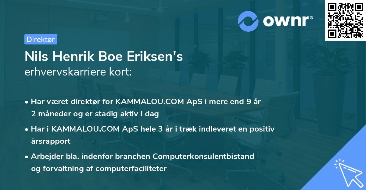 Nils Henrik Boe Eriksen's erhvervskarriere kort