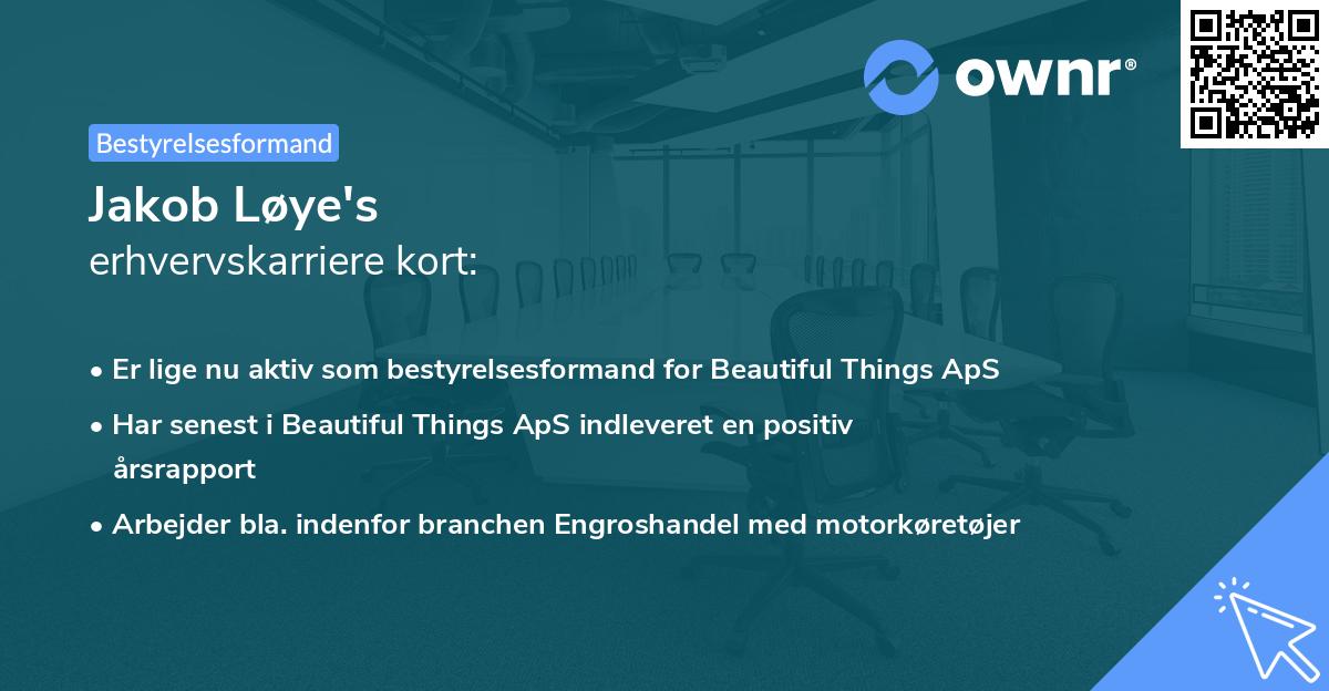 Jakob Løye's erhvervskarriere kort