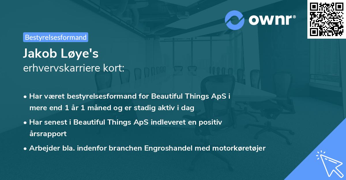 Jakob Løye's erhvervskarriere kort