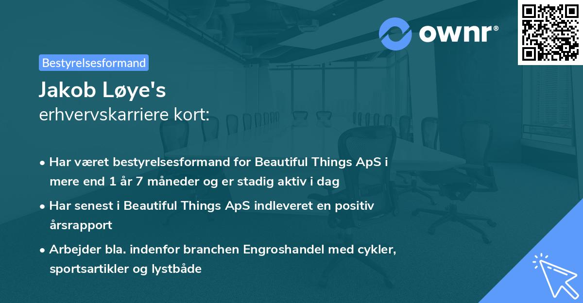 Jakob Løye's erhvervskarriere kort