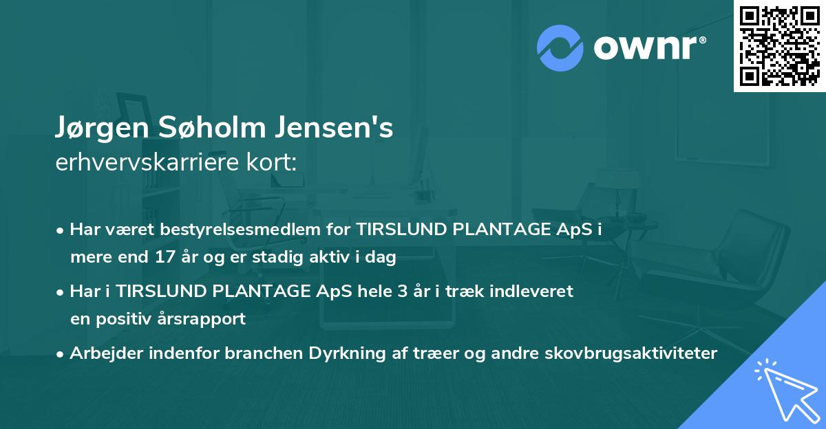 Jørgen Søholm Jensen's erhvervskarriere kort