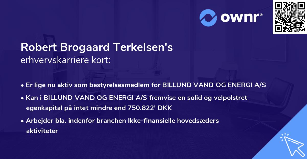 Robert Brogaard Terkelsen's erhvervskarriere kort