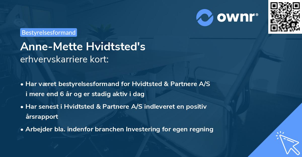 Anne-Mette Hvidtsted's erhvervskarriere kort
