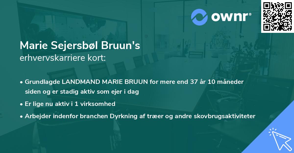 Marie Sejersbøl Bruun's erhvervskarriere kort