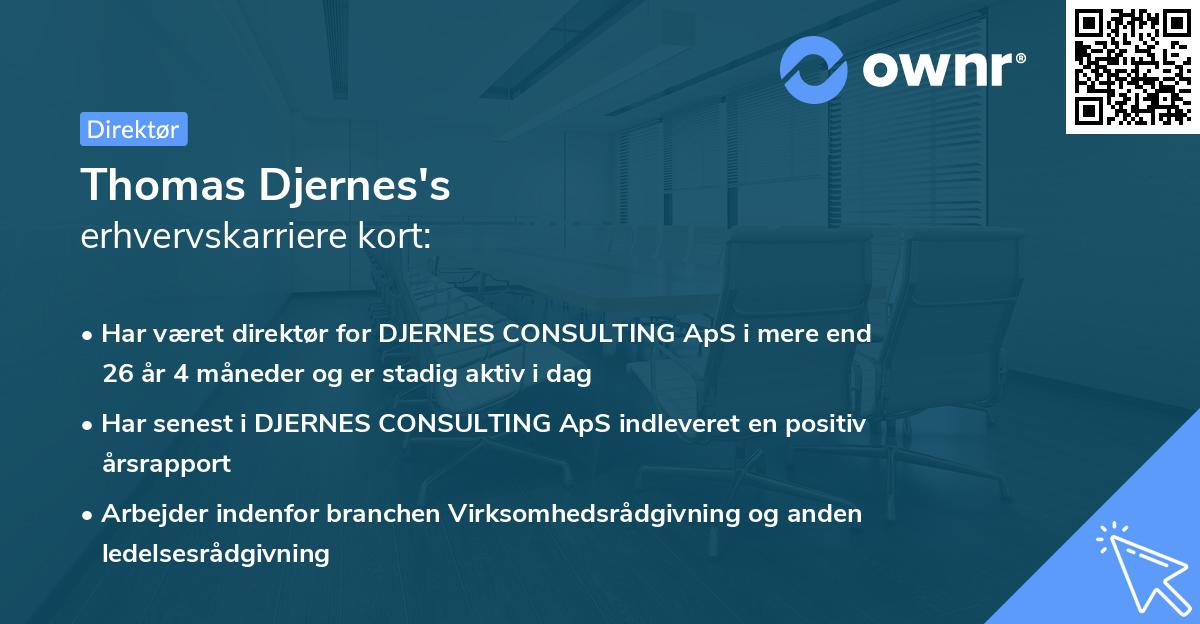 Thomas Djernes's erhvervskarriere kort