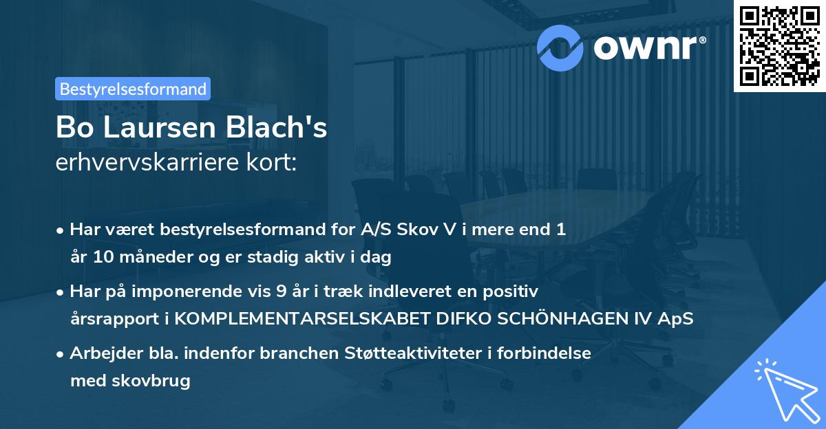 Bo Laursen Blach's erhvervskarriere kort