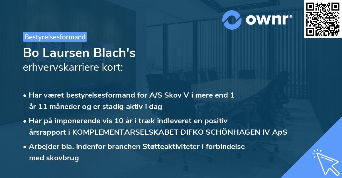 Bo Laursen Blach's erhvervskarriere kort