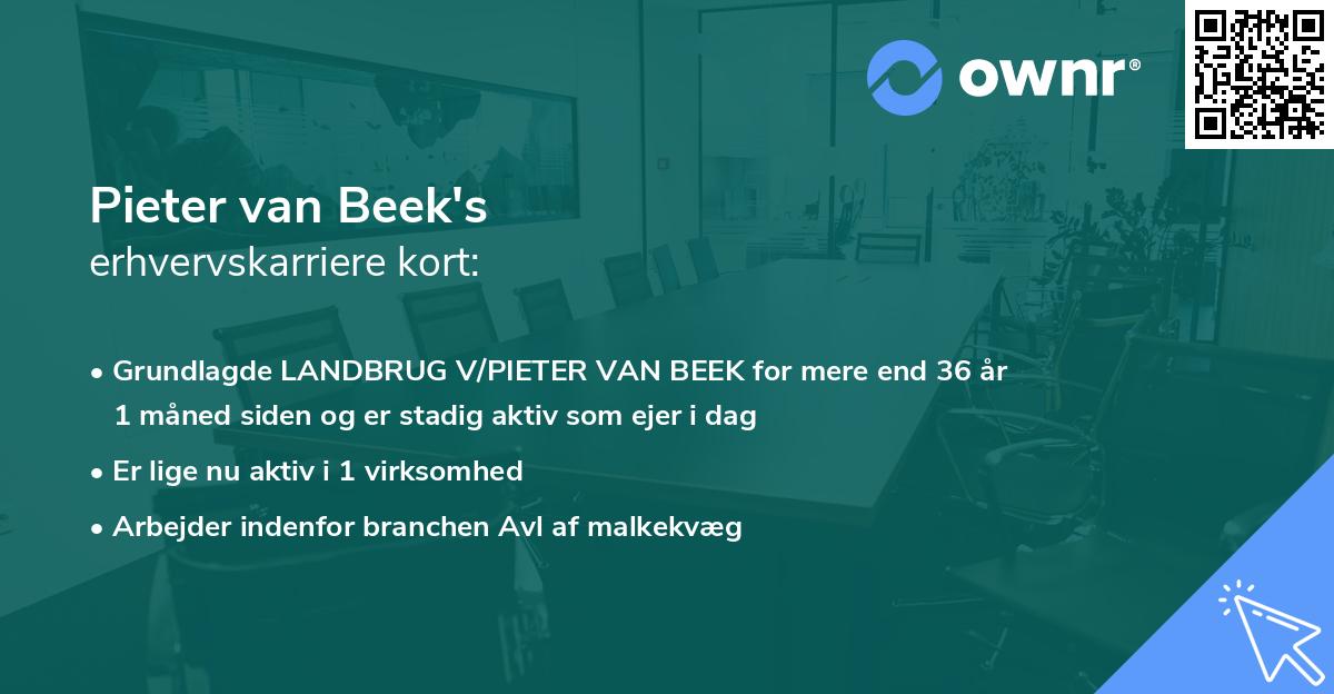 Pieter van Beek's erhvervskarriere kort