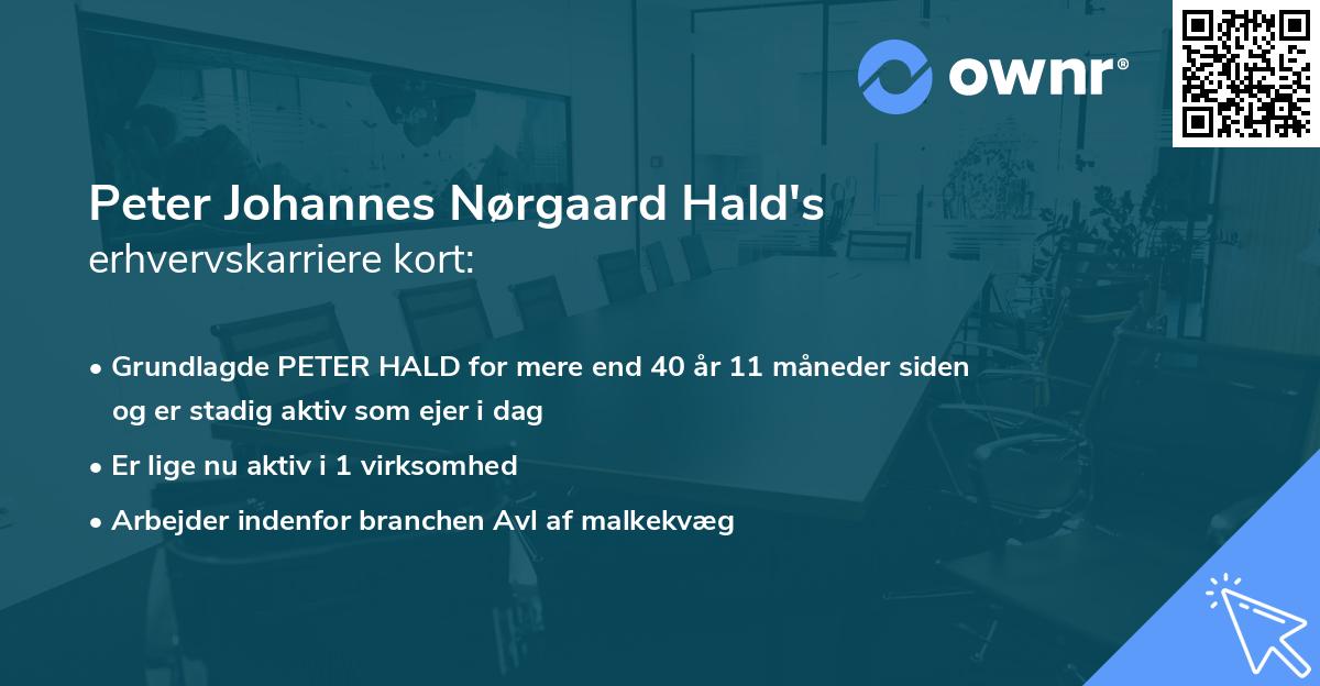 Peter Johannes Nørgaard Hald's erhvervskarriere kort