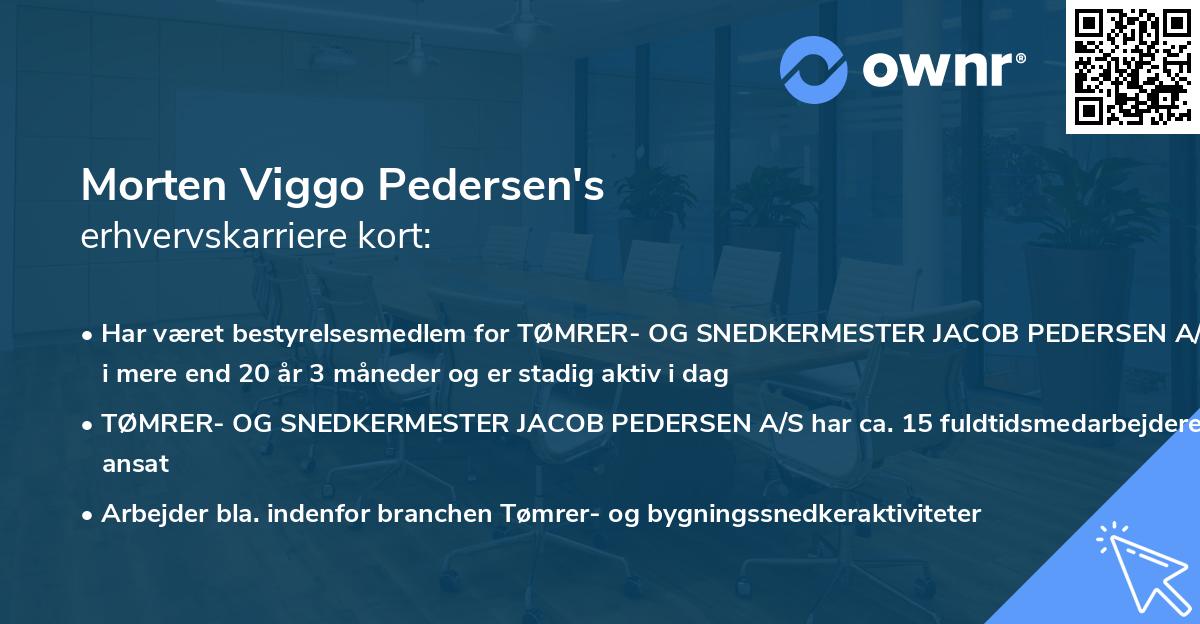 Morten Viggo Pedersen's erhvervskarriere kort