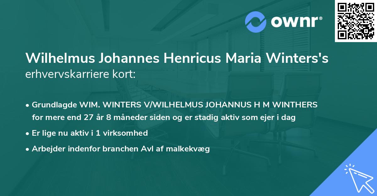 Wilhelmus Johannes Henricus Maria Winters's erhvervskarriere kort
