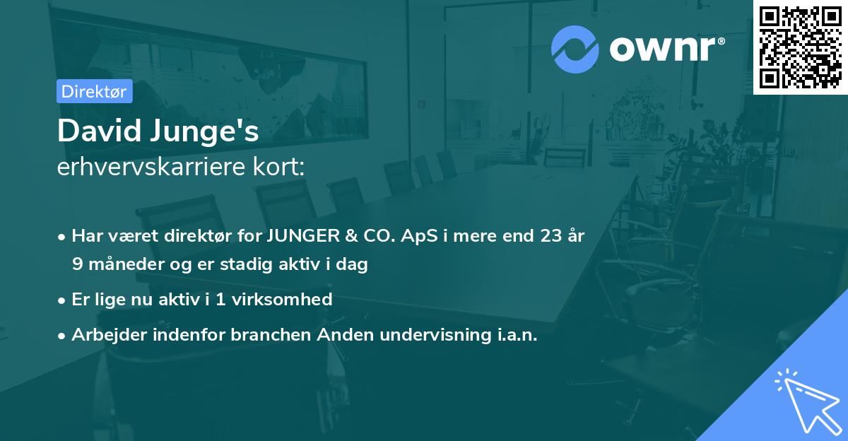 David Junge's erhvervskarriere kort