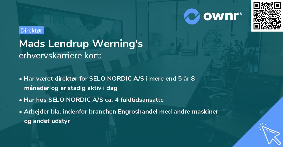 Mads Lendrup Werning's erhvervskarriere kort