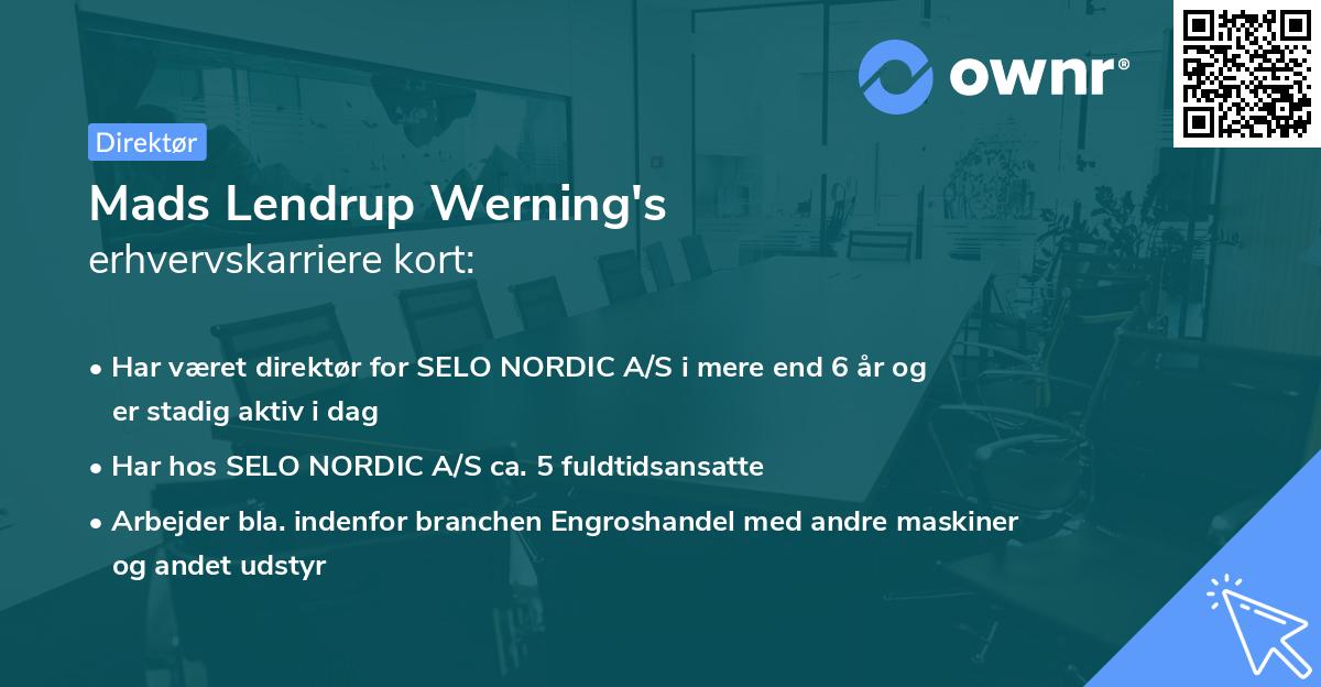 Mads Lendrup Werning's erhvervskarriere kort