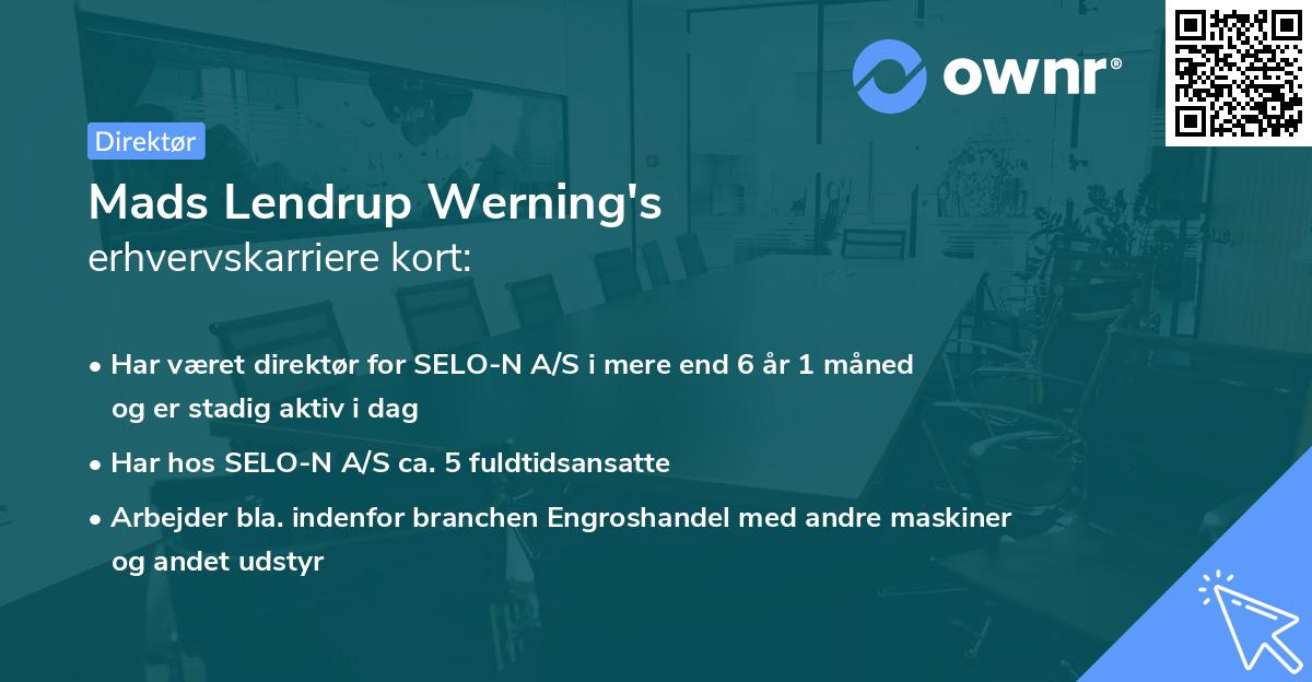 Mads Lendrup Werning's erhvervskarriere kort