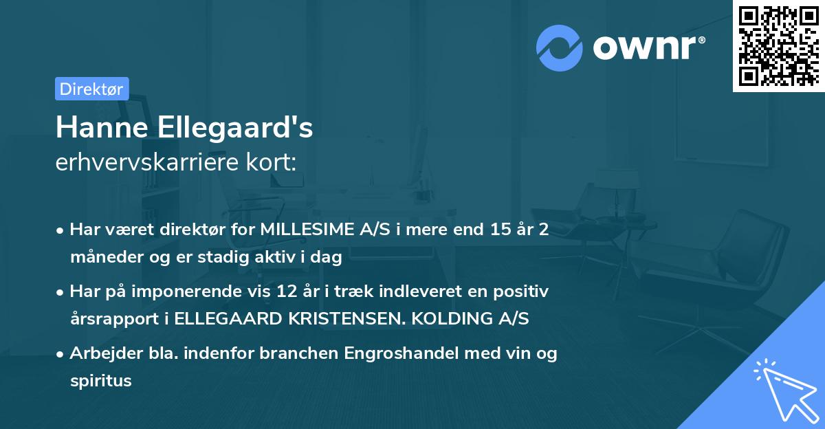 Hanne Ellegaard's erhvervskarriere kort