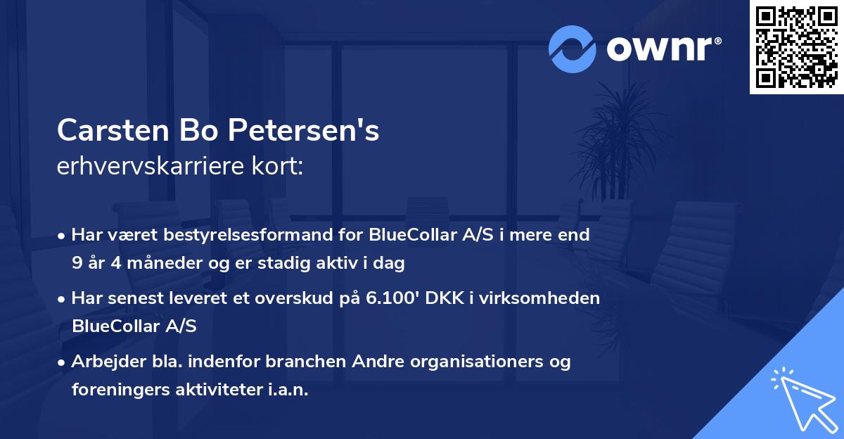 Carsten Bo Petersen's erhvervskarriere kort