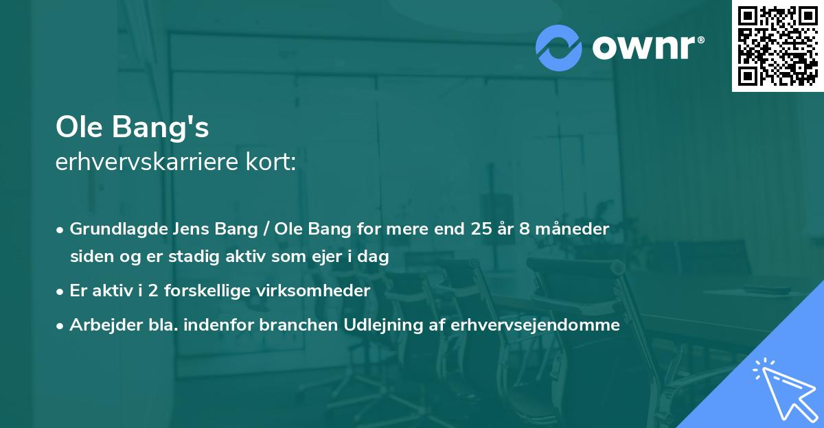 Ole Bang's erhvervskarriere kort
