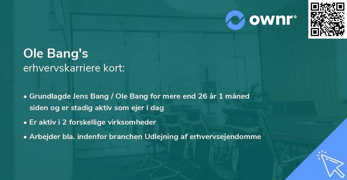 Ole Bang's erhvervskarriere kort